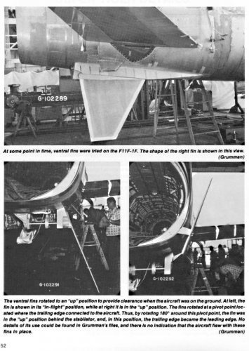 F11F_1F__ventral_fins_D_and_S_Vol_ 17_page_52.jpg