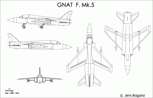 Gnat-5.GIF