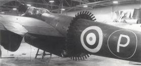 MB Mosquito frill.jpg