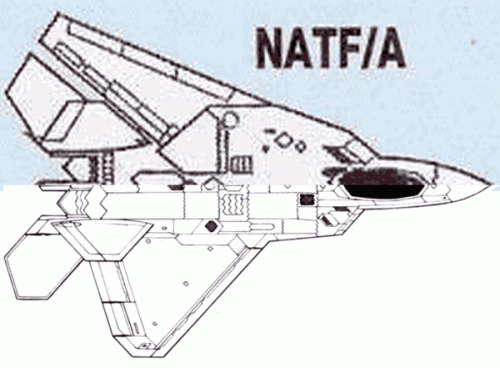 NATF-FA-22.gif