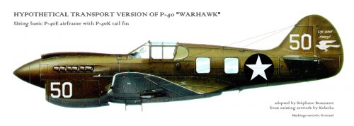 P-40 transport.jpg