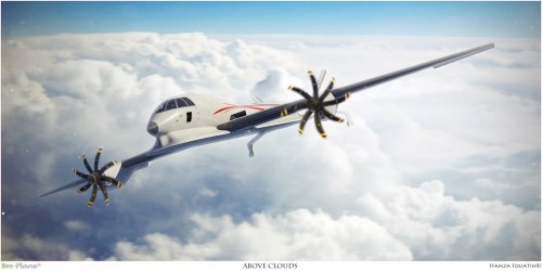 BeePlane-AvionFutur (3).jpg