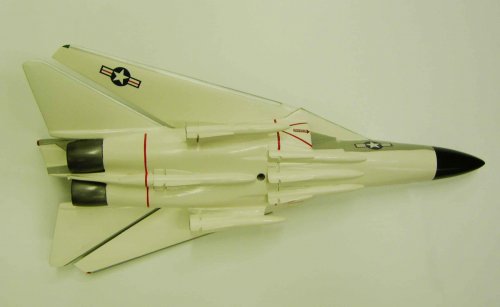 Model of the Grumman F-111B CWIP configuration (under-view).jpg