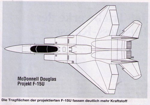 F-15U_FR1294.jpg