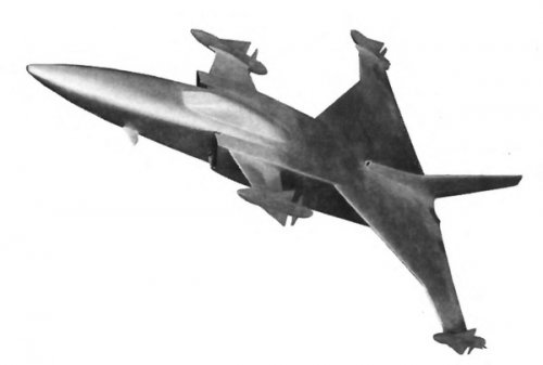 Tu-138-canard.jpg