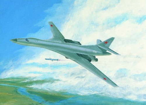 Tu-160.jpg