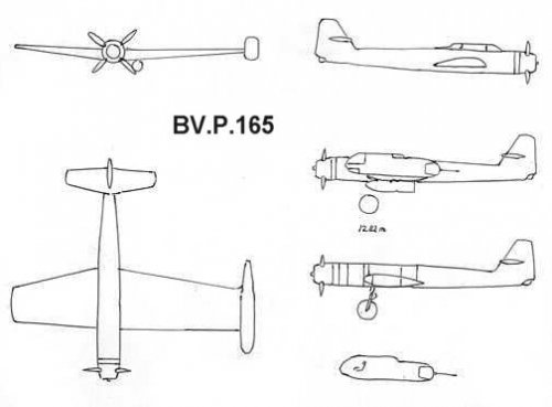 bv165.jpg