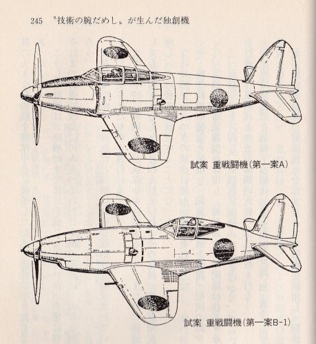 fighter plan.jpg