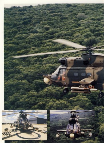 Puma-G-04.jpg