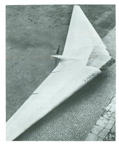 Horten Ho-II D or M (Motorsegler).jpg