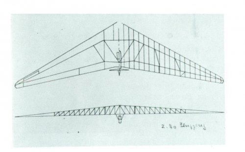 Horten Ho-II D or M (Motorsegler) 002.jpg