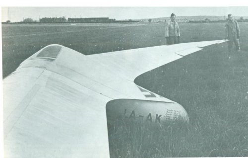 Horten Ho-VI.jpg