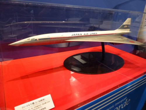 JAL CONCORDE MODEL.jpg