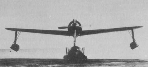 picture 2.jpg