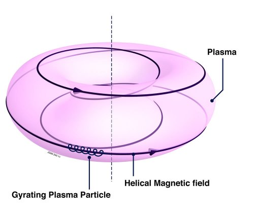 fig03.jpg