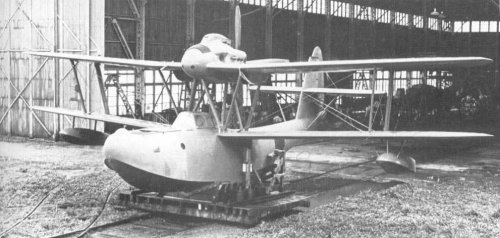 E11A_Type_98_Reconnaissance_Seaplane_Laura_E11A-1.jpg