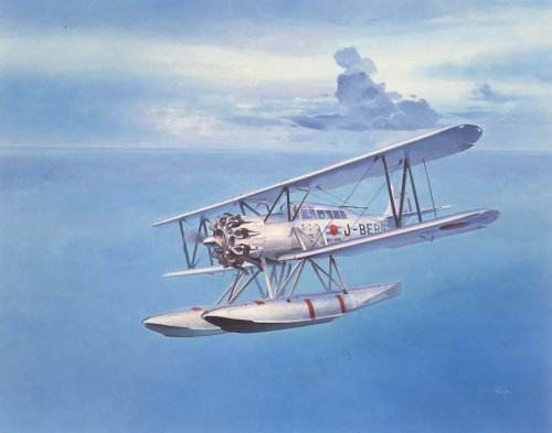 NAKAJIMA GIYU-GO Float Plane.jpg