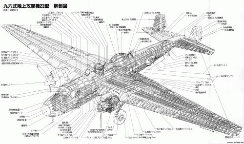 g3m-2.gif