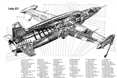 Cutaway Leduc 021.jpg