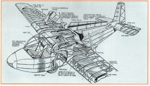 Baynes_Bee_Project_Cutaway.PNG