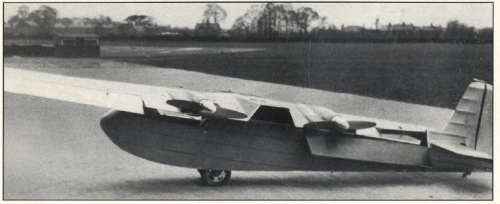 Baynes_Bee_1937_Swivel_Wing_Image.PNG