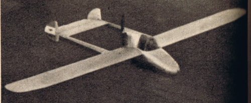 Mantelli, possibluy AM-6, Argentina .jpg