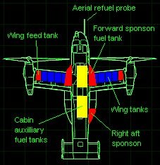 osprey-5.jpg