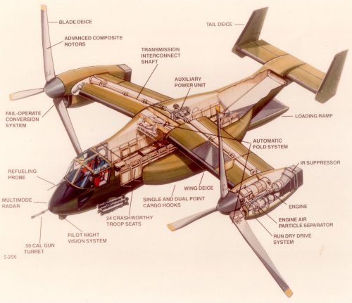 Osprey 06.jpg