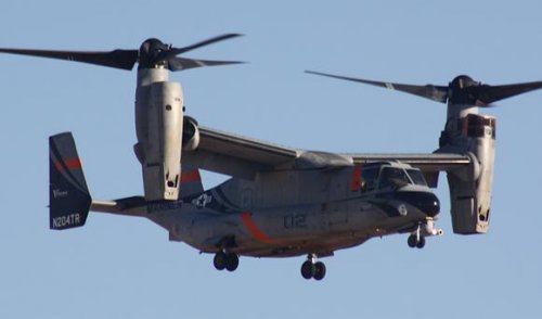 osprey_large.jpg