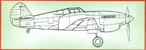 P-40.png