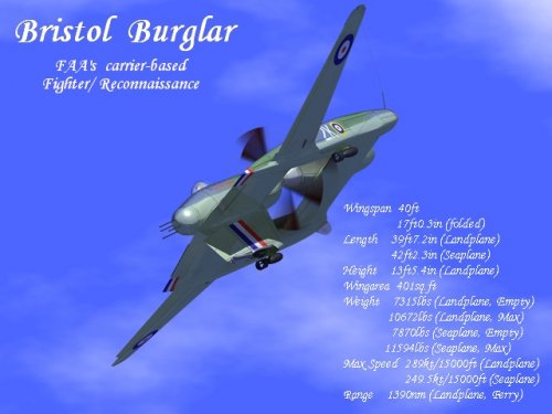 burglar_0.jpg