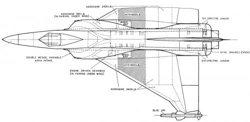 F155T-Interim-1.jpg