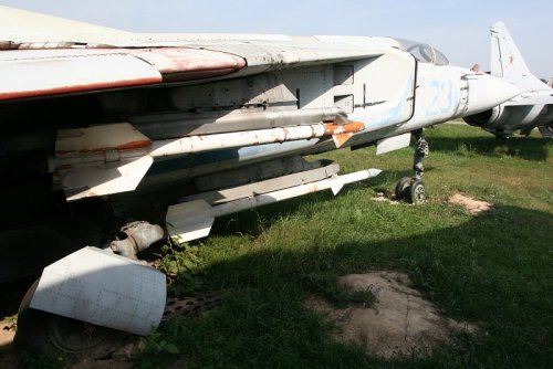 IMG_6995.jpg
