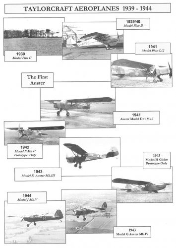 auster01.jpg