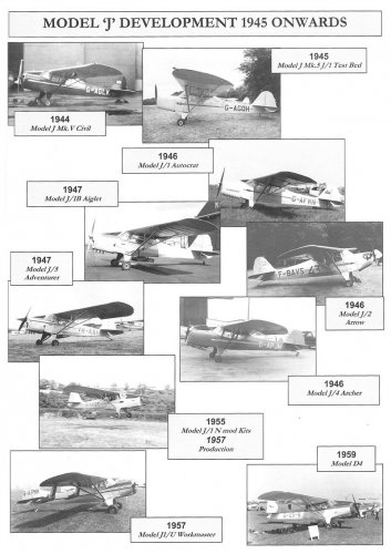 auster02.jpg