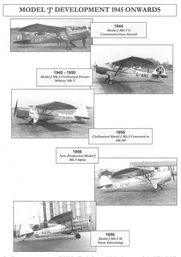 auster03.jpg