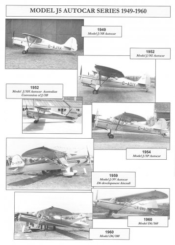 auster05.jpg