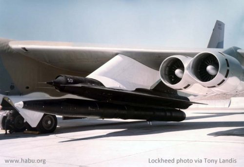 landis_D-21_On_B-52_2.jpg