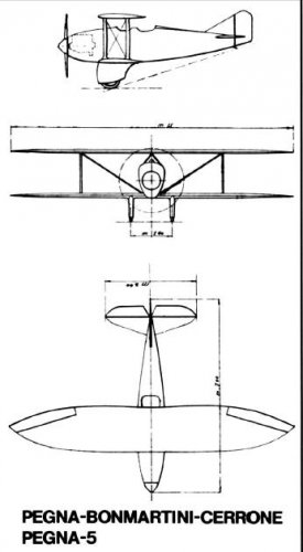 Pegna-Piaggio P.5.JPG