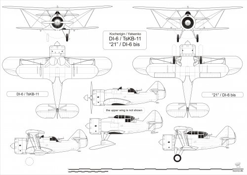 Di-6.jpg