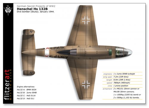 HS132B:5.jpg