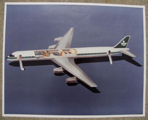 Douglas DC-8 BBJ Artwork - 1.JPG