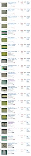 ebaylosses1.jpg