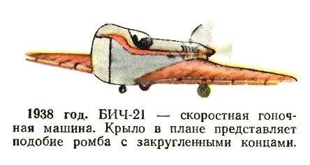 BICh-21 (2).jpg