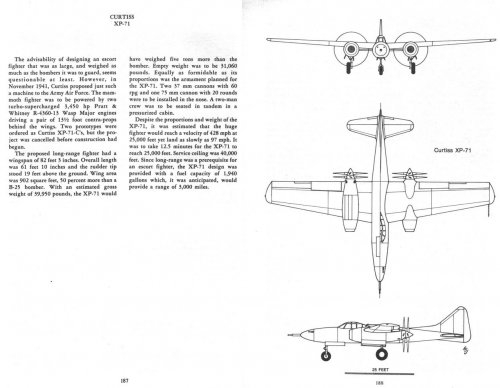 US Fighters Army-Air Force.jpg