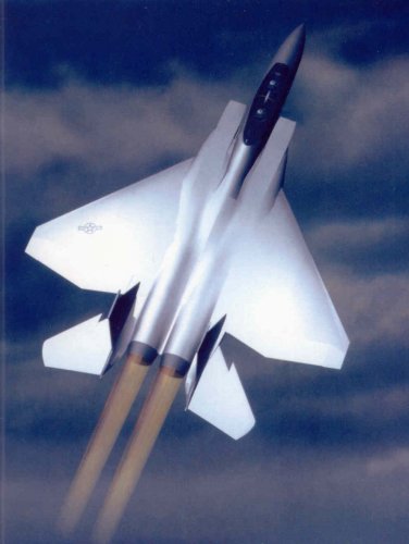 F-15 new wing.jpg