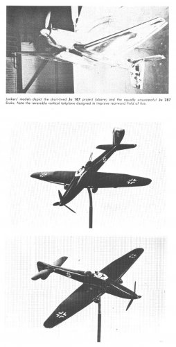 Stuka developments 1 (Close-Up #01).jpg