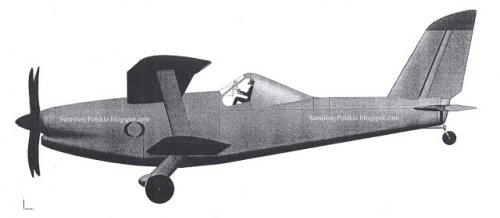 PZL-240 Pelikan 2.jpg