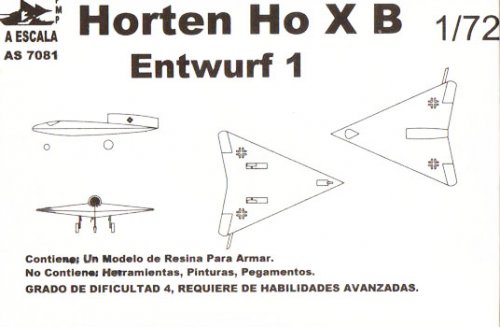 Horten-Ho-X-Entwurf-1---A-E.jpg