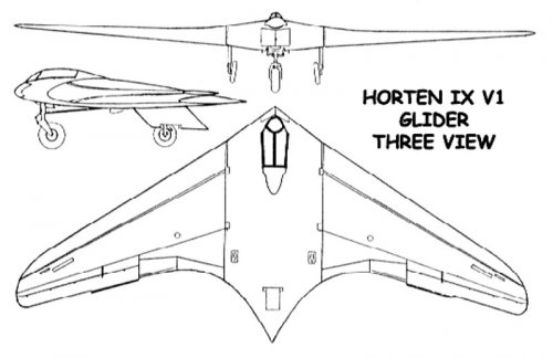 Horten &_8552; v1 glider.jpg